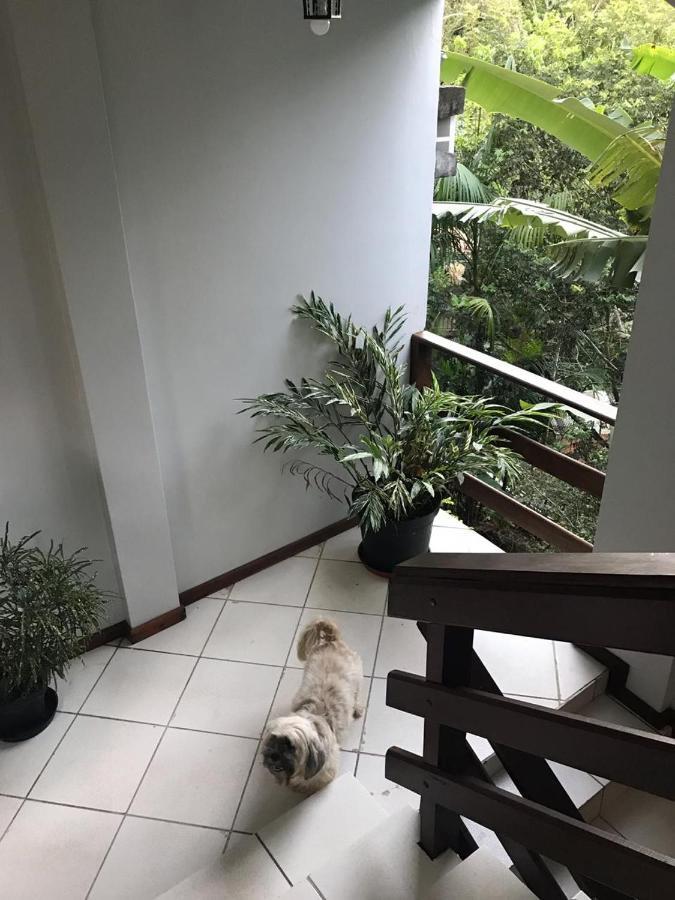 Pousada Sereia Dourada Bed & Breakfast Itacaré Екстериор снимка